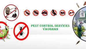 Pest Control In Vaughan