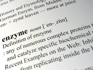 Enzymes in skincare